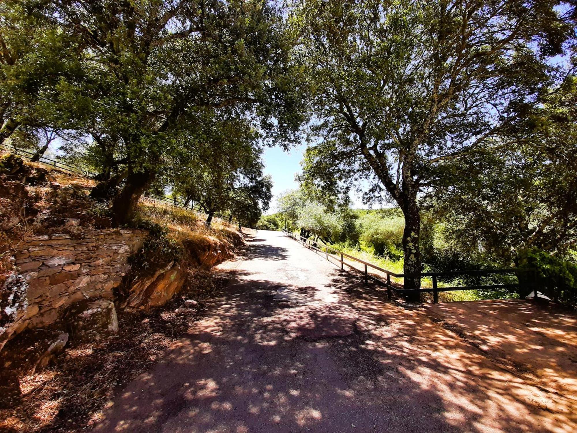 Casa Rural Gurumelo Aracena Exterior foto